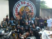 coyote do asfalto